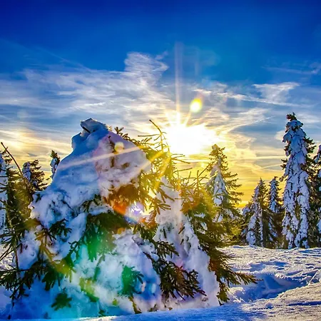 Quattro Appartement Loučná pod Klínovcem