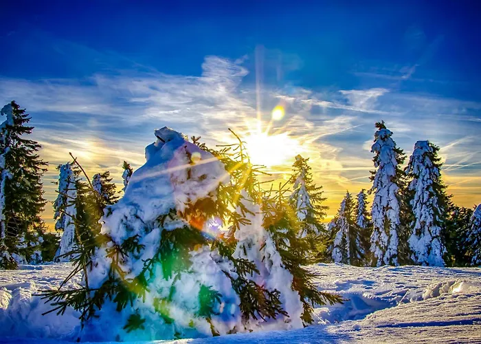 Quattro Lägenhet Loučná pod Klínovcem